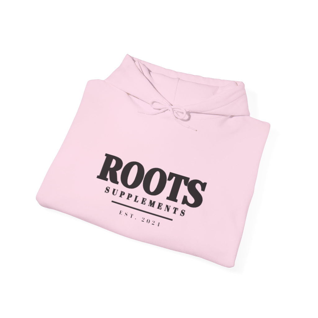 Established Heavy Blend Hoodie