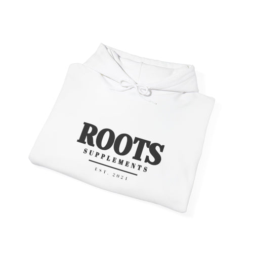 Established Heavy Blend Hoodie